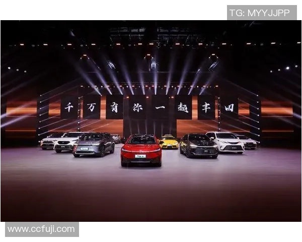 广州排球队征战洲际杯的拼搏历程与荣耀时刻回顾