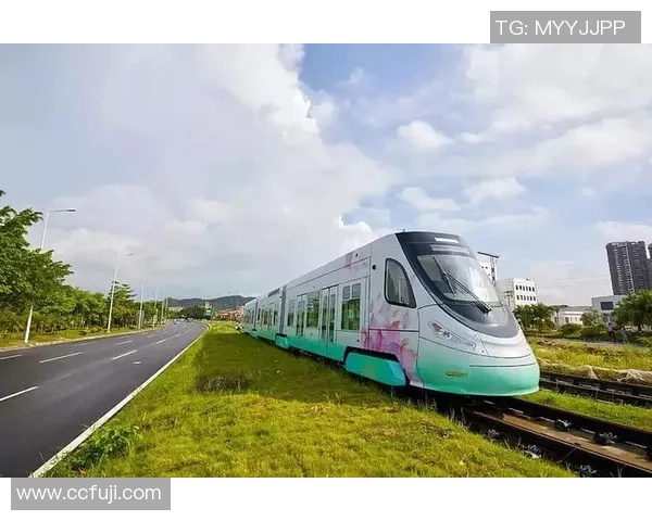 深入分析广州羽毛球队的运营策略与发展模式探讨