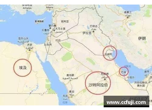 苏亚雷斯卡塔尔：中东地缘政治风云